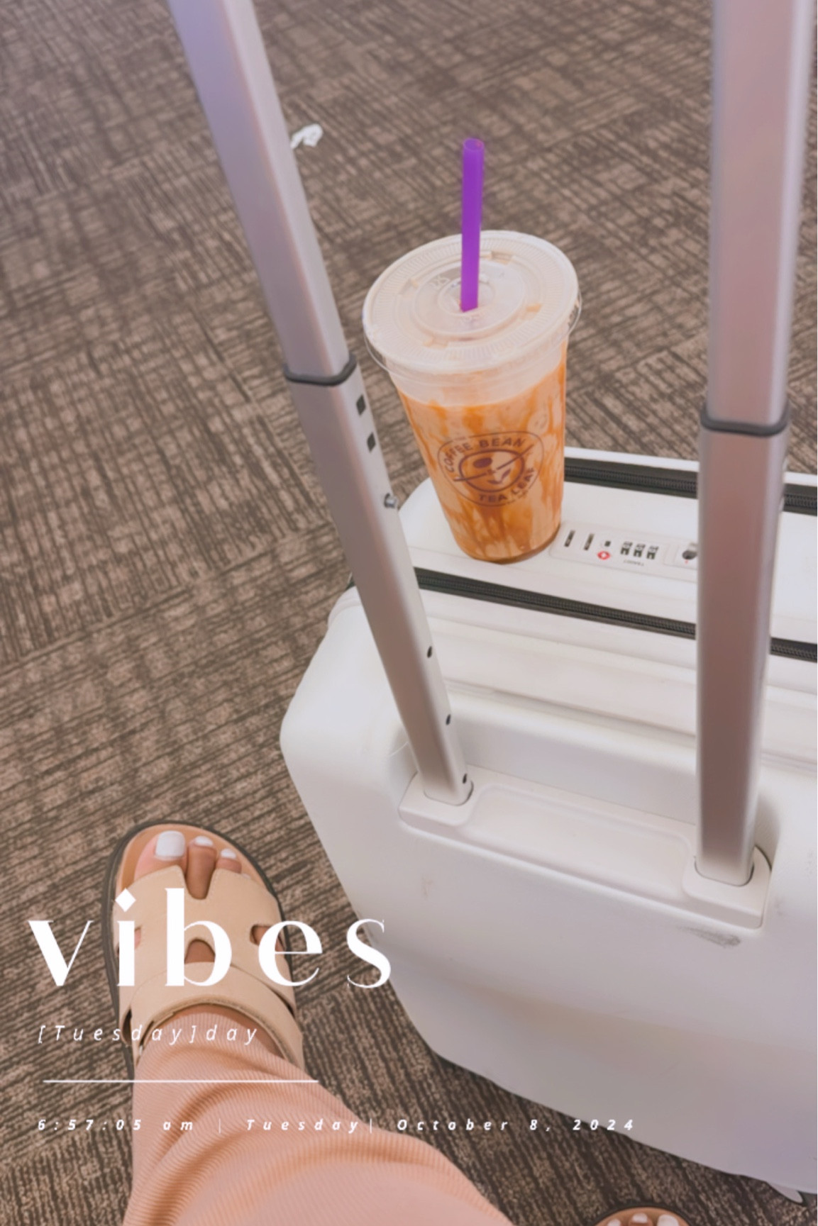 Travel in style with cute yet durable luggage 