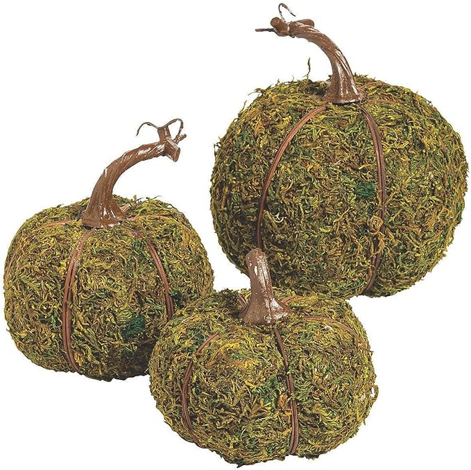 Fun Express Moss Pumpkins, 3 Piece Set - Fall and Halloween Home Decor | Amazon (US)