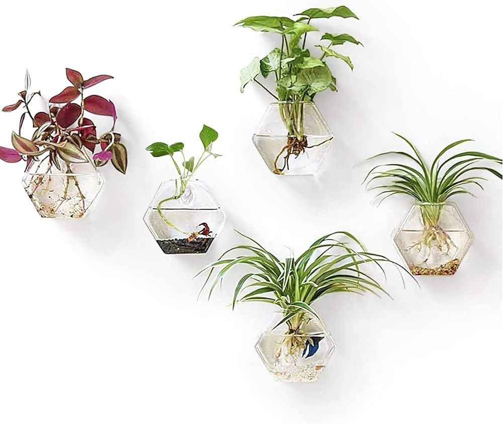 PACDONA 3 Pack Wall Hanging Plant Terrarium Glass Planter Propagation Hydroponics Vase for Water ... | Amazon (US)