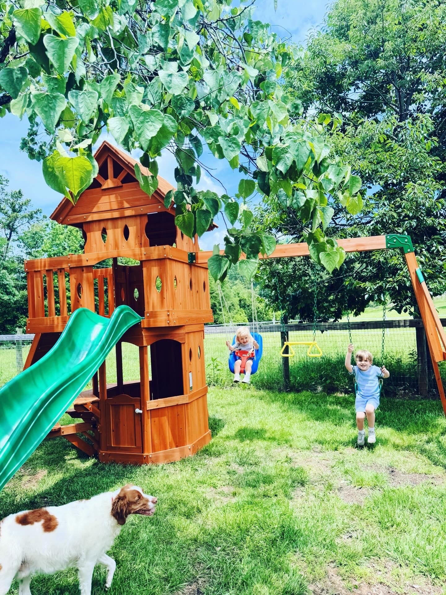 The summer these farm raised country cuties 👶🏼🩵👶🏼 got their very own  P L A Y S E T 🛝🌳🌻🌲🌱🌼🌿🐴🪵🚜🐶🌾🪾 #farmplayset #treehouseplayset #bestbirthdaygiftever 

These little country boys of ours sure are LOVING their new treehouse swing set … aka, the best (belated) birthday gift 🎁 ever and one we will always remember!!! 🛝🌳🪵🌲🌿 I’ll never forget the pure JOY 🤩 and excitement 🥹 on their little faces as they squealed 🤭 with delight 🤗 after we got home 🏡 from church 💒 and we opened the back porch door 🚪 for them to run out and see what daddy had finished ✔️ building 🛠️ for them… be still my heart!! ❤️ As these little country cuties 👶🏼🩵👶🏼 have been playing all afternoon 🌿 (and we have just been soaking it all in 🥰), I just kept looking at @wesmabry with tears welling up in my eyes with gratitude… for this beautiful life 🌲 we get to live out on our dream 💭 farm sweet farm 🚜 raising our little country 🌾 babies 👶🏼 on these 12.5 acres 🐓🌼 … I always dreamed of giving them a childhood 🐴 like this 🧺… and I can’t believe we are here actually LIVING it!! 🌻🌳 I have wanted to them to have a real playhouse swing set for so so long… but it just didn’t make sense until we found our forever farm and home sweet home 🏠 where we are finally planting our roots 🌱… and here we are 🥰 so this truly was just such a full circle ⭕️ moment for me! 🙏 Every good and perfect gift is from above 💫 - Thank you, thank you, Jesus!!! 🙌🏽 Our hearts 💕 overflow and we can’t wait for all the many many happy memories 🎞️ to come out on this wonderful @backyarddiscovery woodlands 🪵 playset!! 🛝💫🪾 #backyarddiscovery #woodlandsplayset