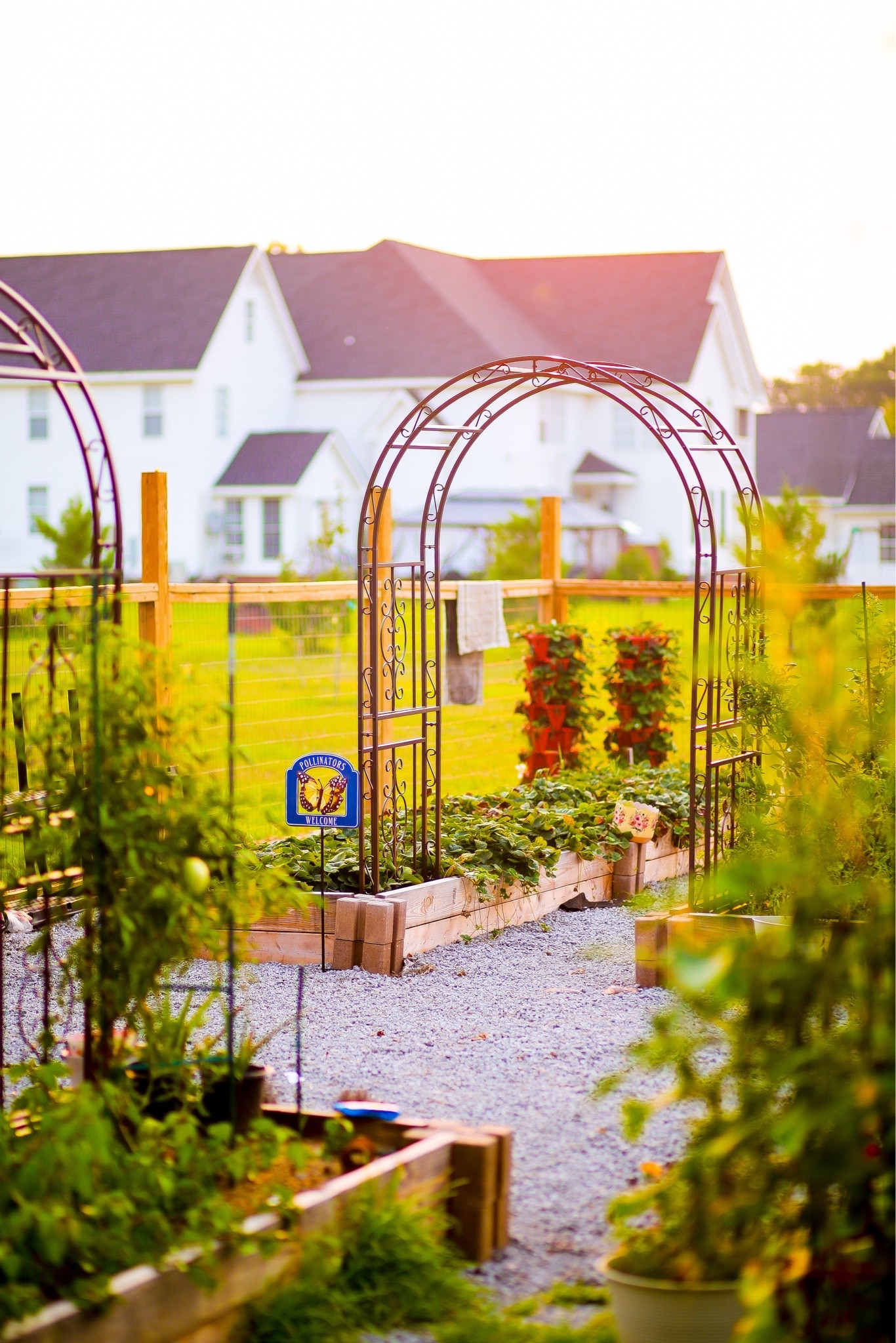 Plow & Hearth garden arbors! 🪴👩‍🌾
@plowandhearth

#LTKHome #LTKSeasonal #LTKdayinmylife

#LTKSeasonal #LTKOver40 #LTKSaleAlert