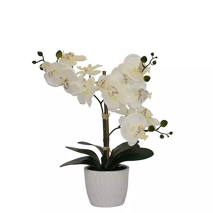 Orchid Arrangement in White Decorative Pot | Kirklands