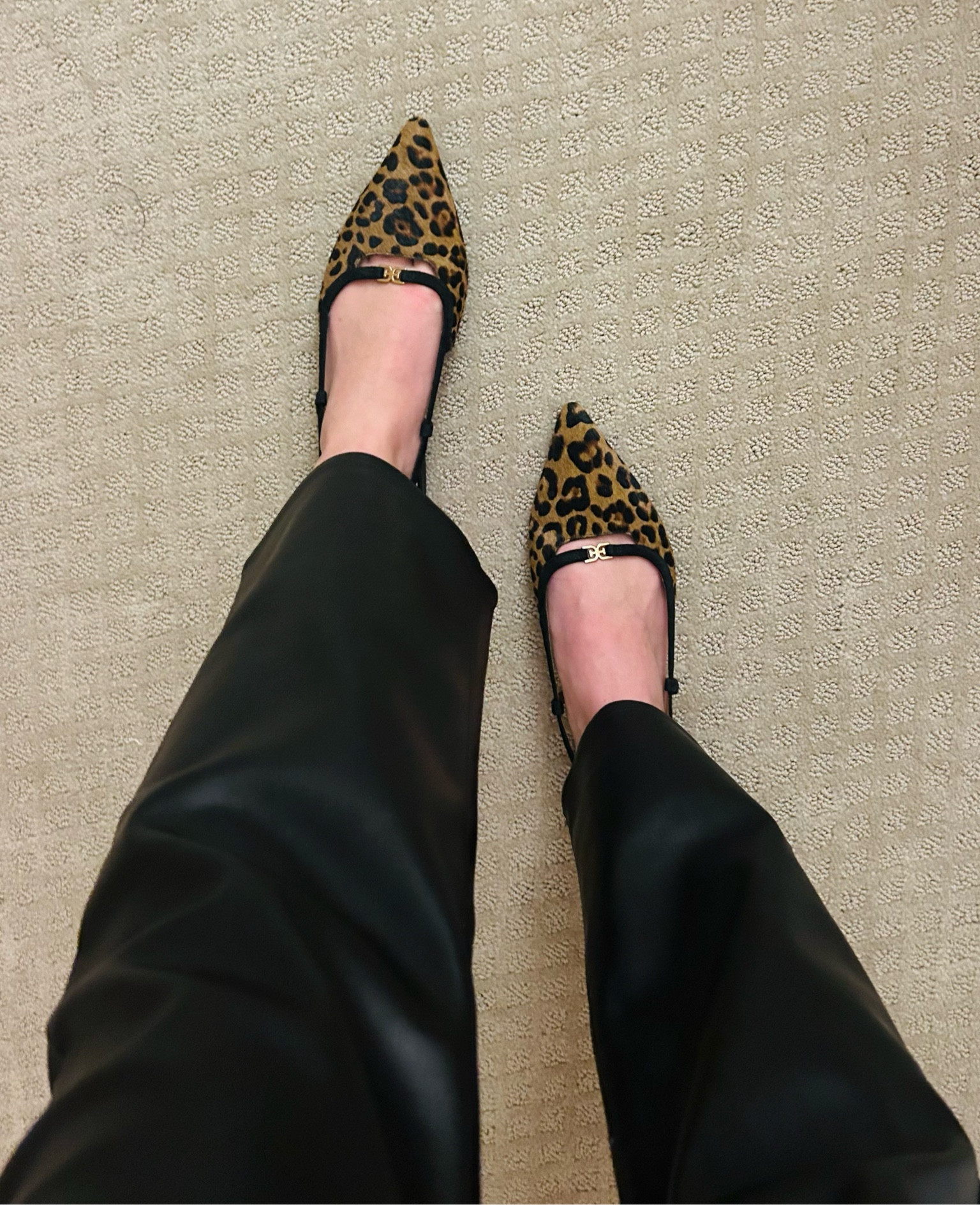 Dolce vita leopard flats on major sale! $69🤎

#LTKSeasonal #LTKShoeCrush #LTKFindsUnder100