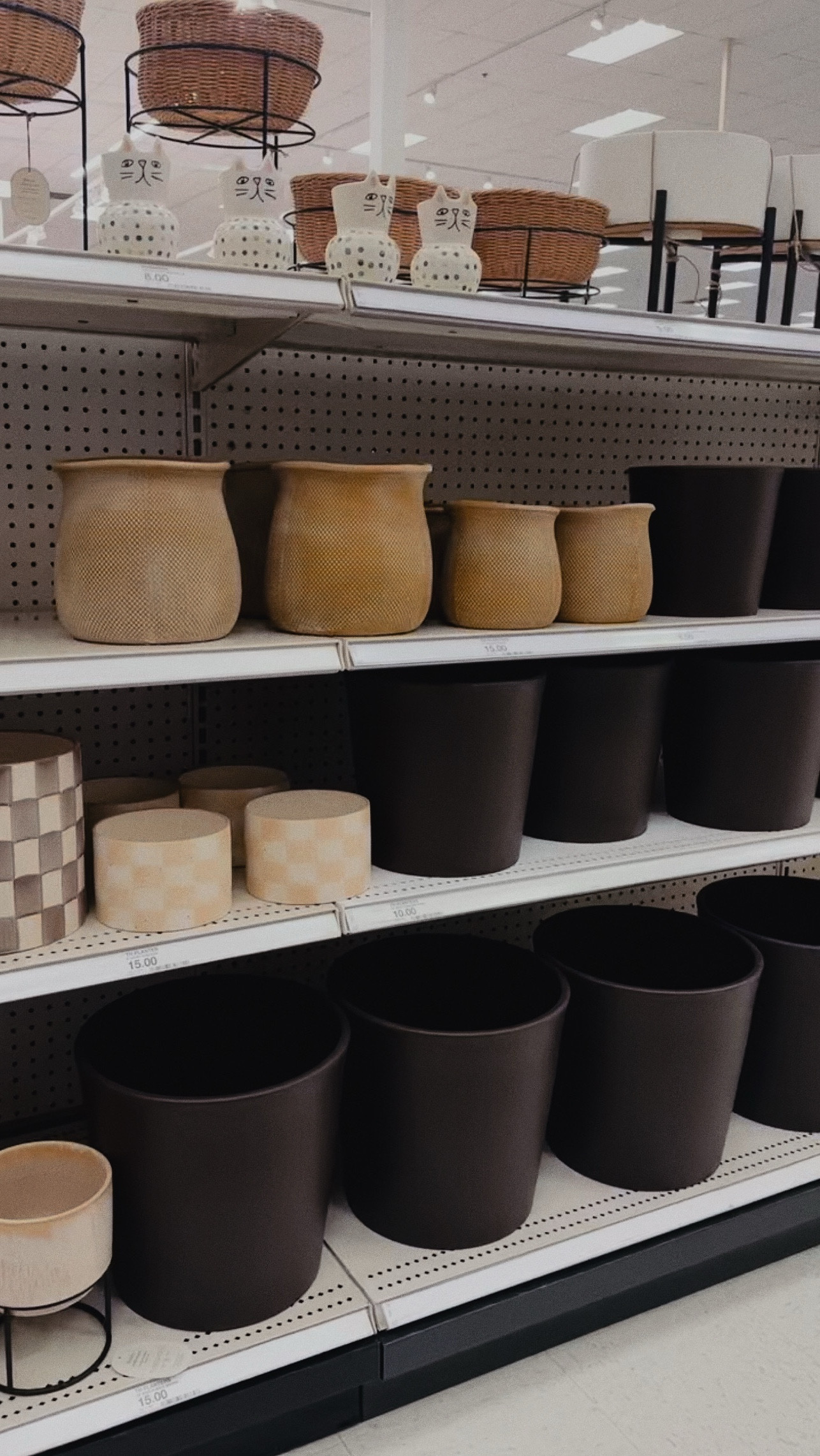 Just a few planters from Target that caught my eye while perusing the outdoor section 🪴 #houseplants #planter

#LTKHome #LTKWatchNow #LTKFindsUnder100