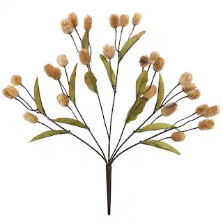 Toast Thistle Bush by Ashland® | Michaels | Michaels Stores