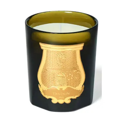 Trudon Abd El Kader Moroccan Mint Tea Candle at Nordstrom, Size 9.5 Oz | Nordstrom