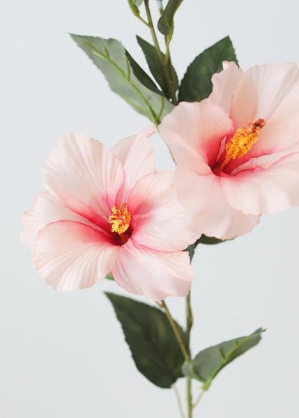 Hibiscus Silk Flower Spray in Light Pink - 31" Tall x 5" Blooms | Afloral (US)