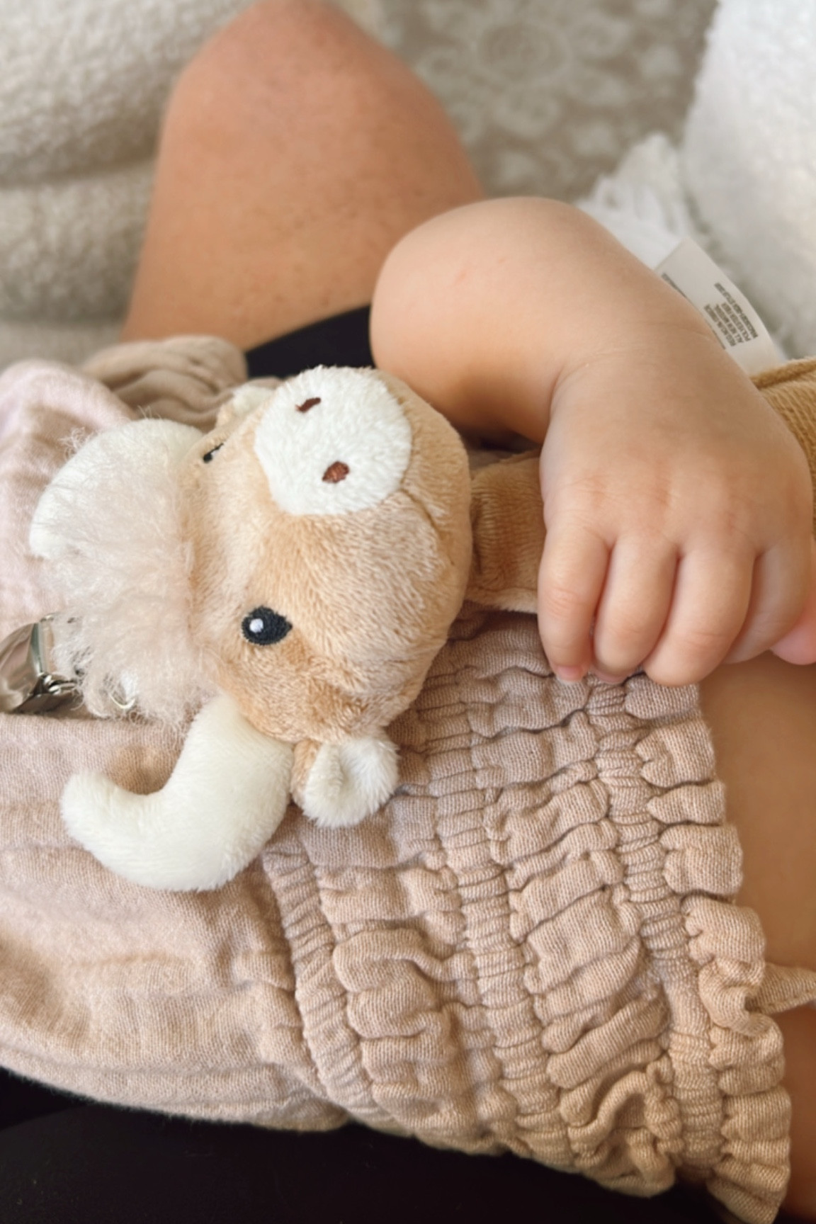 Cow pacifier pal 🐮

#LTKBaby