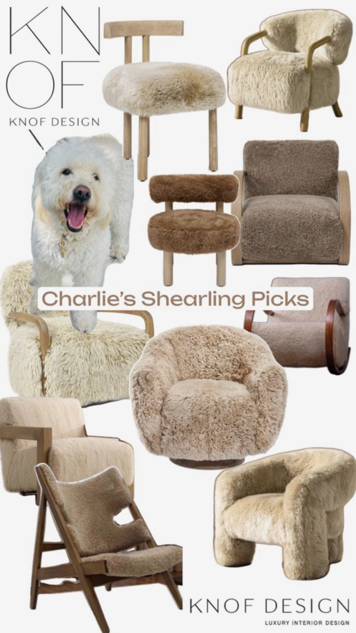 Cozy time! Shearling is here. Fabulous fluffy finds curated by Charlie girl 🐶 Get ready for hibernation season and stay snuggly thus winter. ❄️ #shearlingchairs #fauxfur #shearling #cosydecor #winterinteriors 

#LTKHome #LTKSaleAlert #LTKSeasonal
