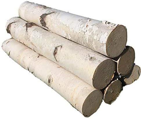 White Birch Log Set for Fireplace | Amazon (US)