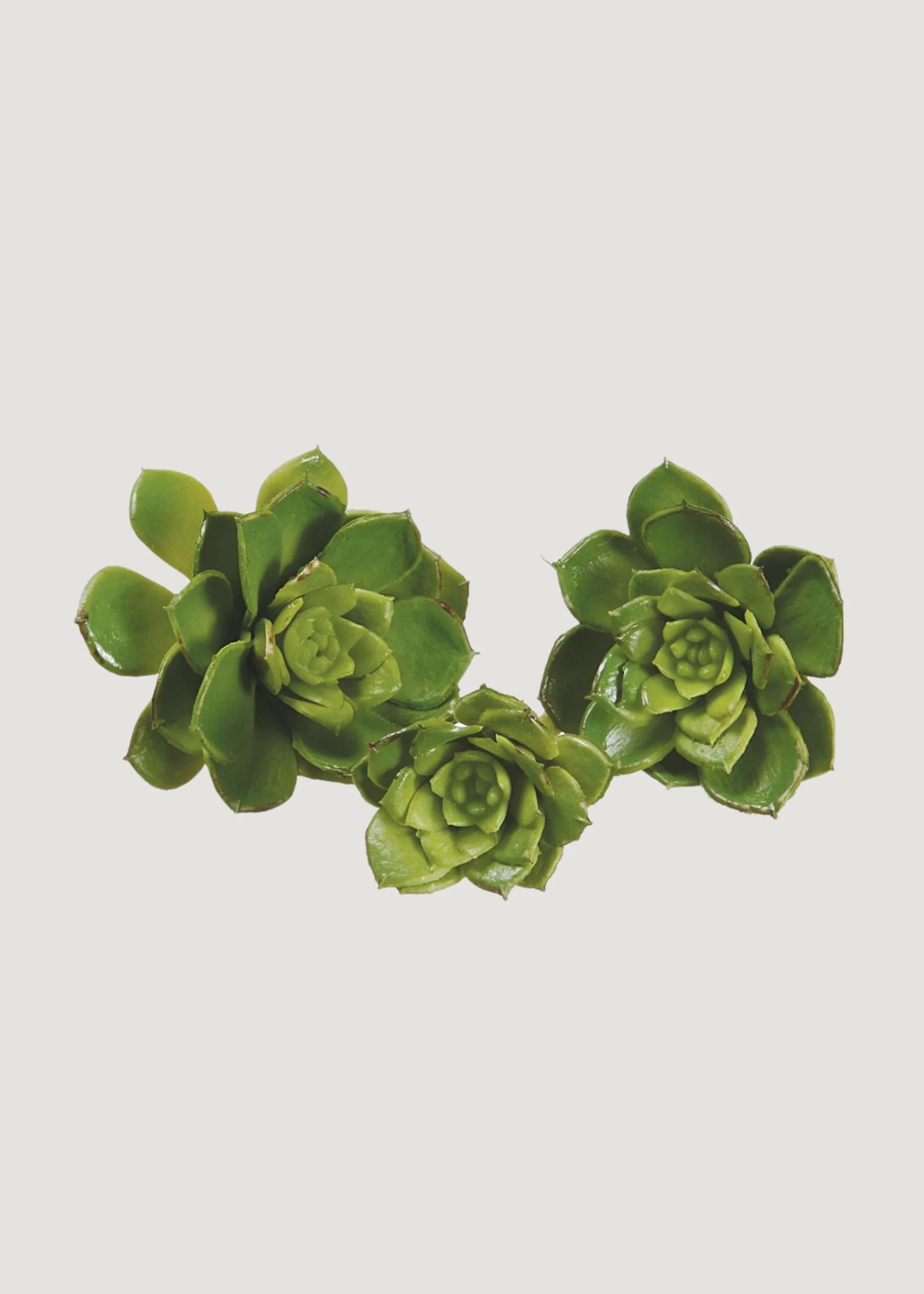 Mini Echeveria Succulent Set of 3 | Artificial Succulents at Afloral | Afloral