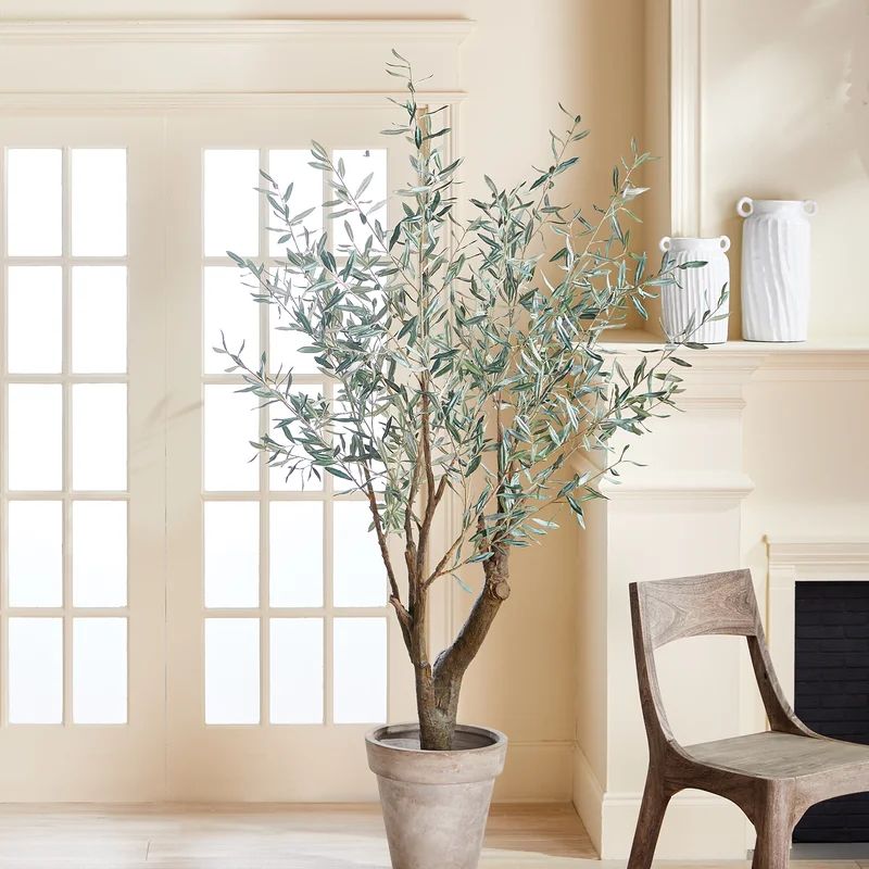 Tarik 78'' Faux Olive Tree Tree in Pot | Wayfair North America