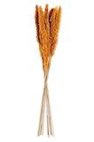 K&K Interiors 41969A-OR 27 Inch Orange Pampas Grass Bundle | Amazon (US)