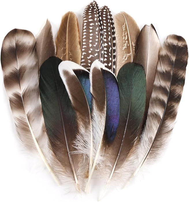 MehelloFeather Natural Pheasant Feathers 12Pcs Bulk Feathers 6 Style for DIY Crafts Hat Floral Ar... | Amazon (US)