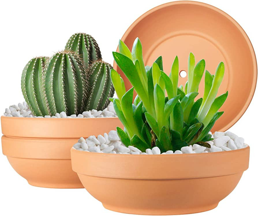 Clay Pots for Plants with Drainage Hole, 4 Pack Large Terra Cotta Plant Pot, 7.67 Inch Terra Cott... | Amazon (US)