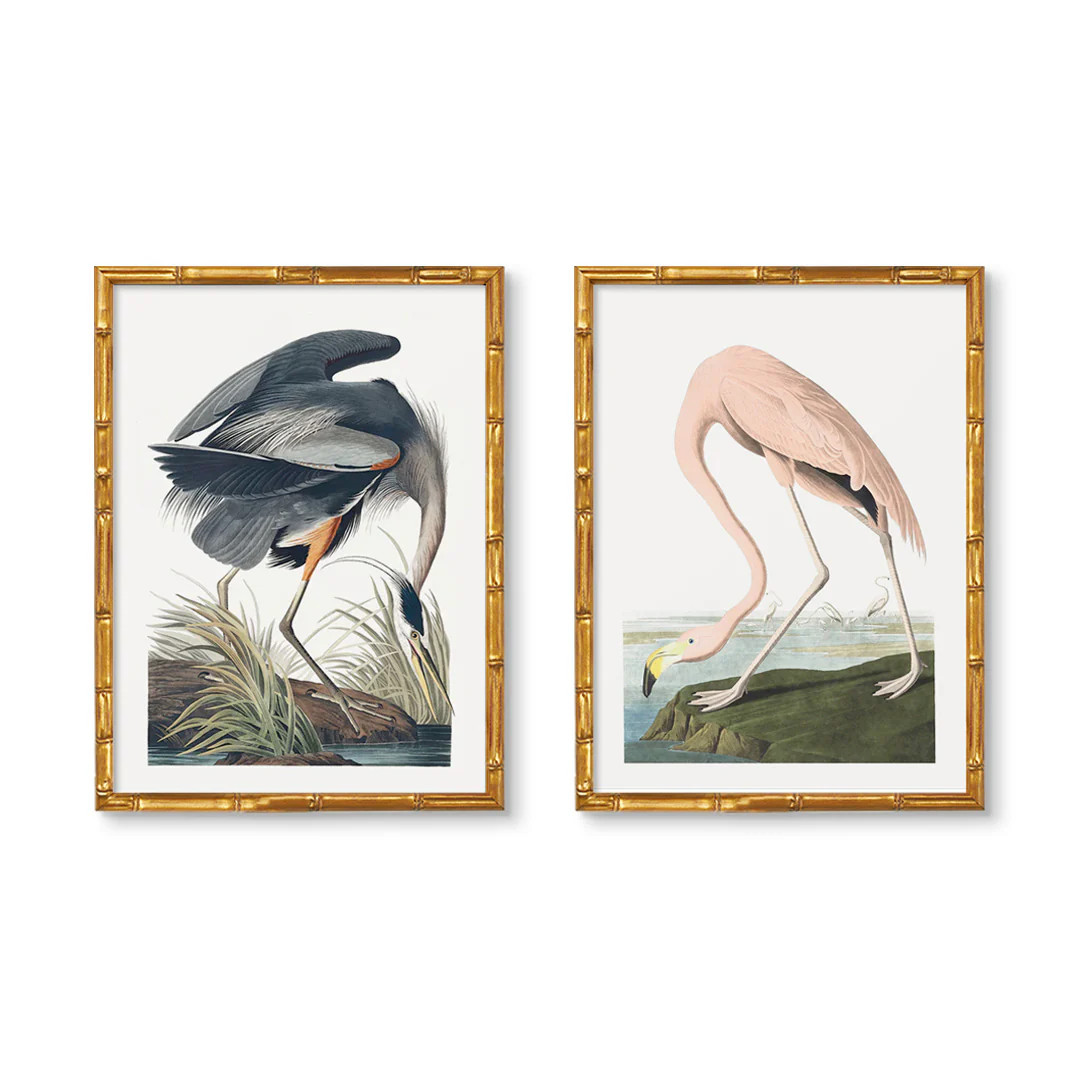 Vintage Flamingo & Great Blue Heron Pair | Urban Garden Prints