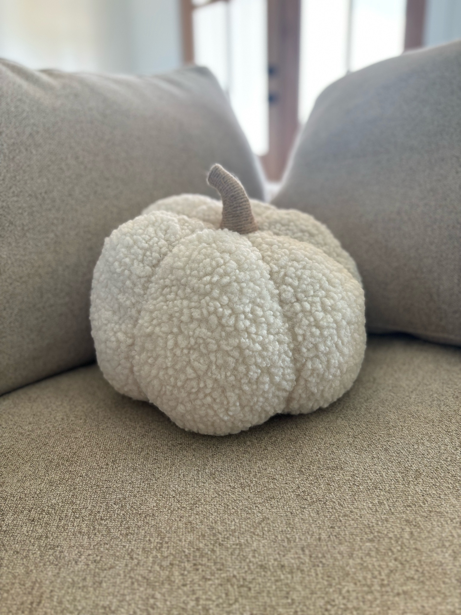Pottery Barn Pumpkin Pillow Dupe

#LTKSaleAlert #LTKHome #LTKFindsUnder50