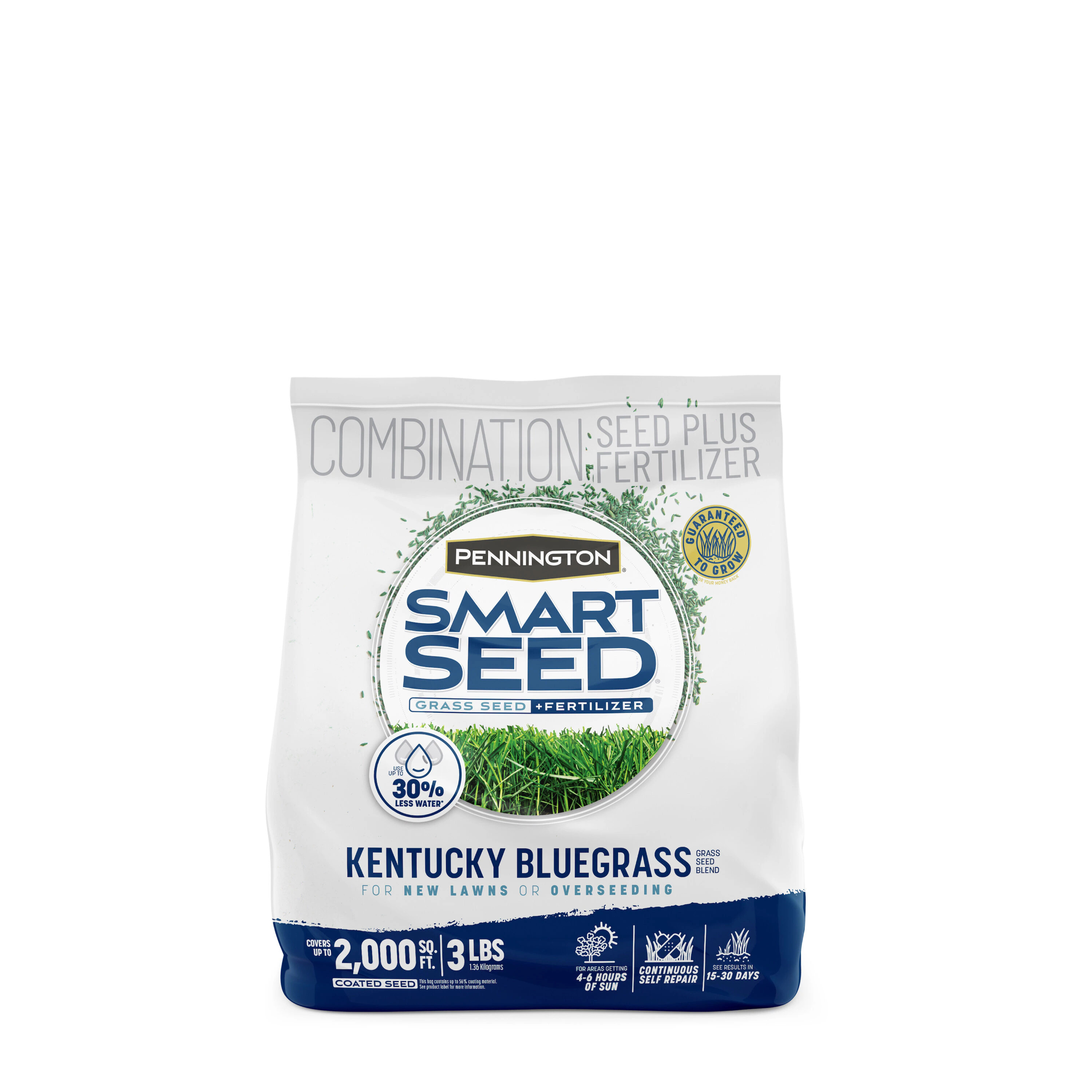 Pennington Smart Seed 3-lb Kentucky Bluegrass Grass Seed one_size | 100543705 | Lowe's