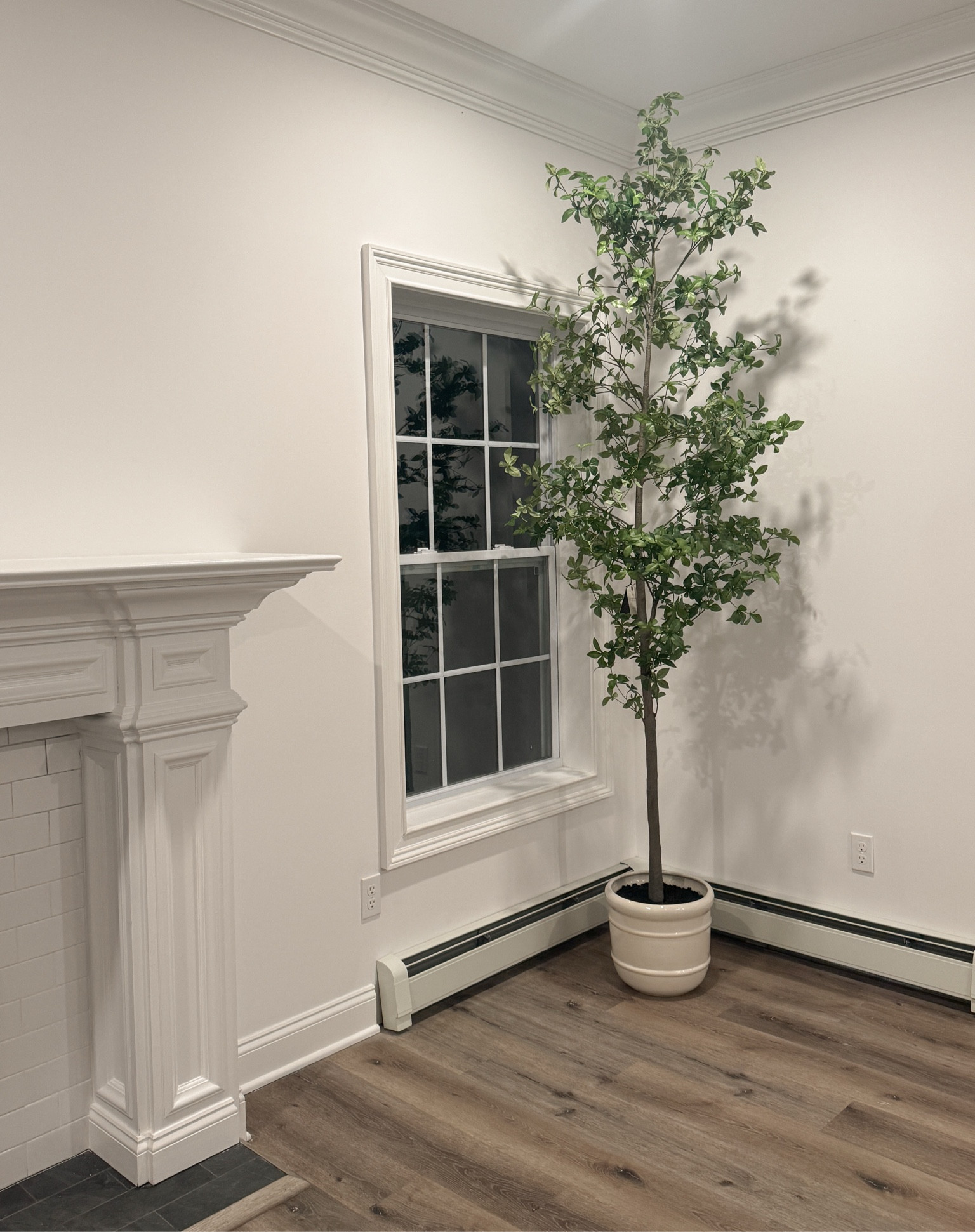 Our new faux tree! So gorgeous and looks SO REAL! 

Home decor, home inspo, new home, cozy home, faux plant, target finds, affordable decor

#LTKHome #LTKStyleTip