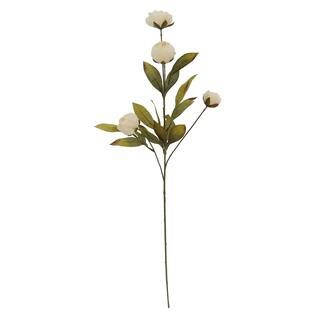 Cream Dry Peony Stem by Ashland® | Michaels Stores