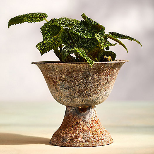 Fluted Iron Urn Planter | Terrain