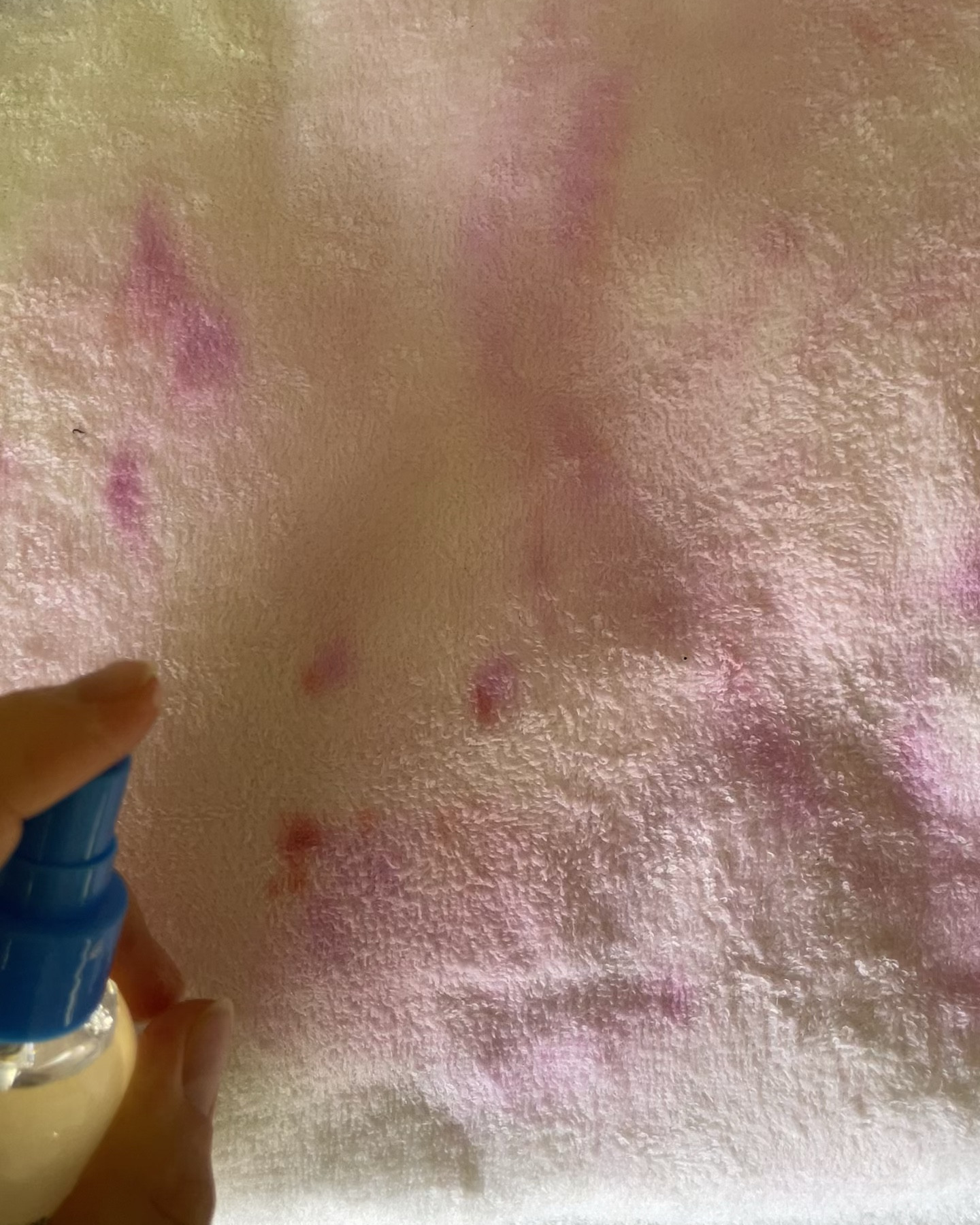 Stain removal mattress edition 🧼 This little bottle will do wonders. Must have for anyone with kiddos and or pets. Love the 3 pack option from Amazon to have in laundry room, downstairs kitchen area and one for on the go! Mattress protectors and pillow protectors attached as well. 

#stainremoval #stains #kids #mess #cleaning #hacks #momhack #backtoschool #pets #babyessentials #parenting #amazon #home #missmouth

#LTKKids #LTKHome #LTKBaby