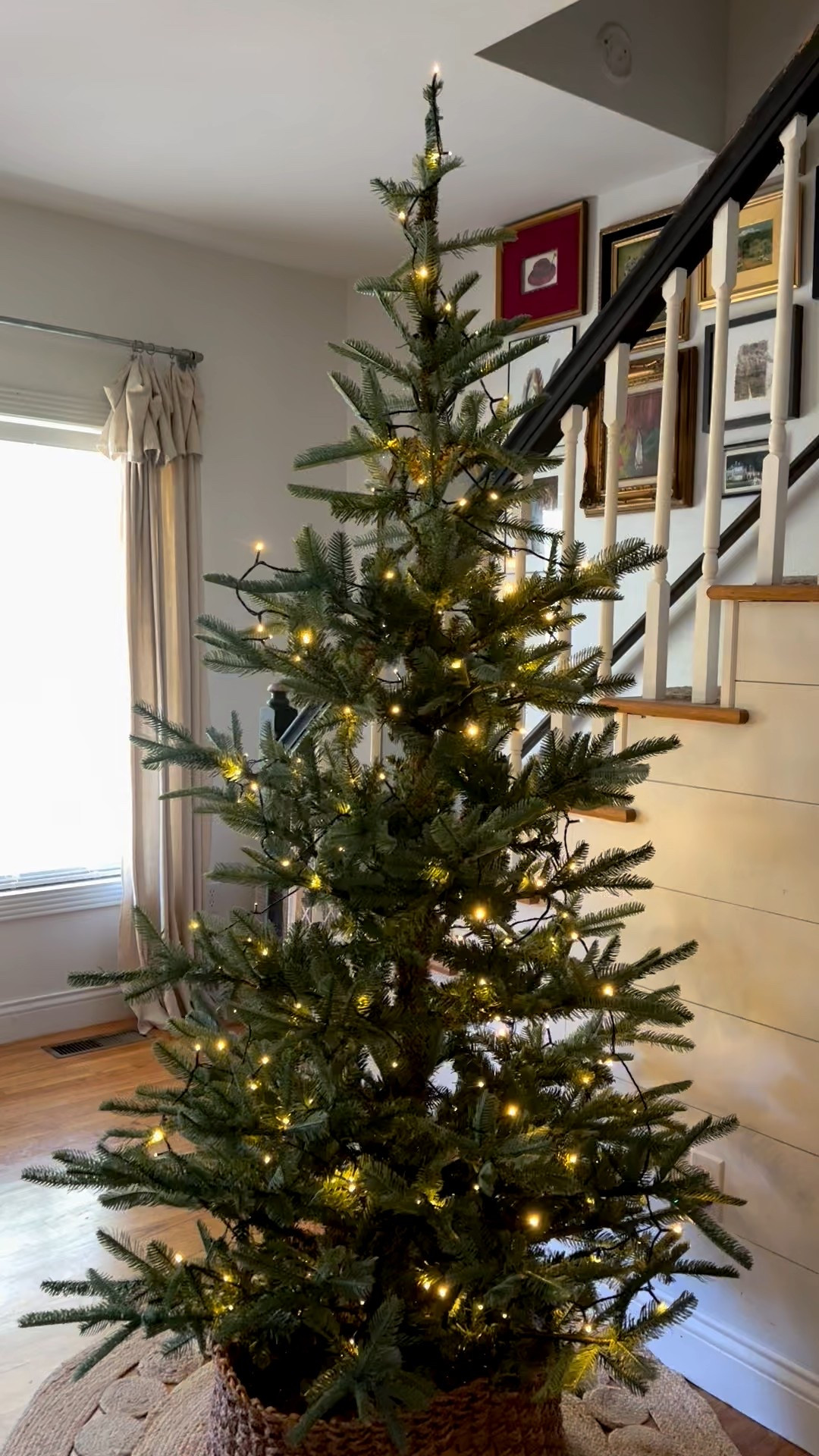 Twinkle lights for an existing tree!  Amazon deals, Christmas lights 

#LTKHoliday #LTKHome #LTKFindsUnder50