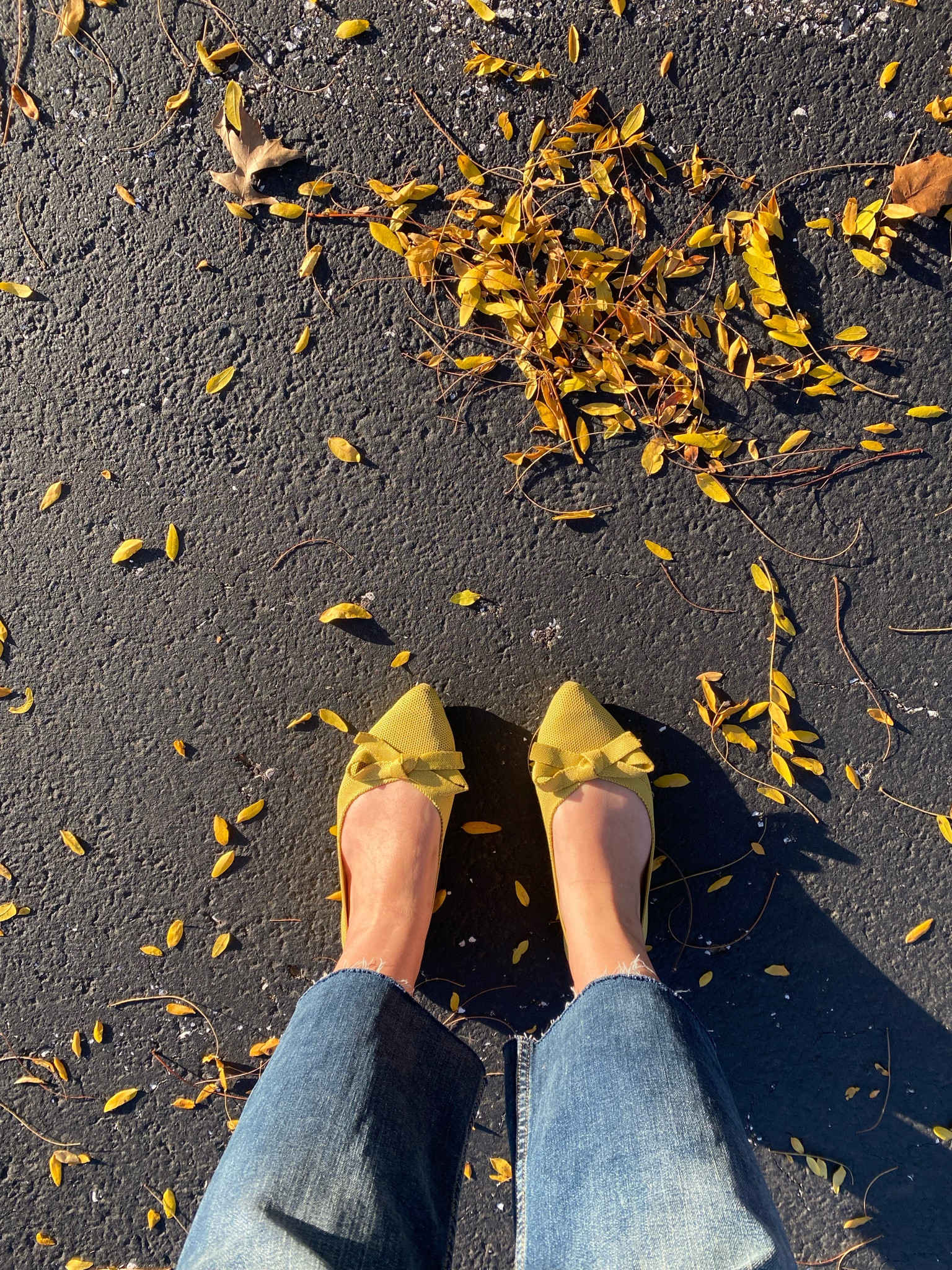 my current style obsession: ROTHYS & BOWS🎀 They just add a cute little touch to the most simple look. I’m obsessed. 
*Rothy’s didn’t have this exact style but I added in some fun options* 🎀😋

#LTKstyletip #LTKfindsunder100 #LTKGiftGuide