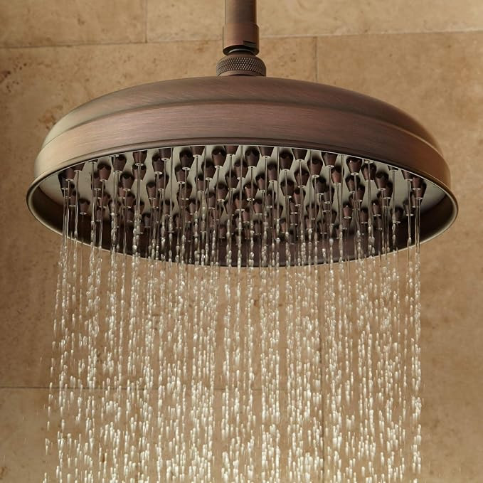 Signature Hardware 400150 8" Lambert Rainfall Nozzle Shower Head - 8" Standard Arm | Amazon (US)