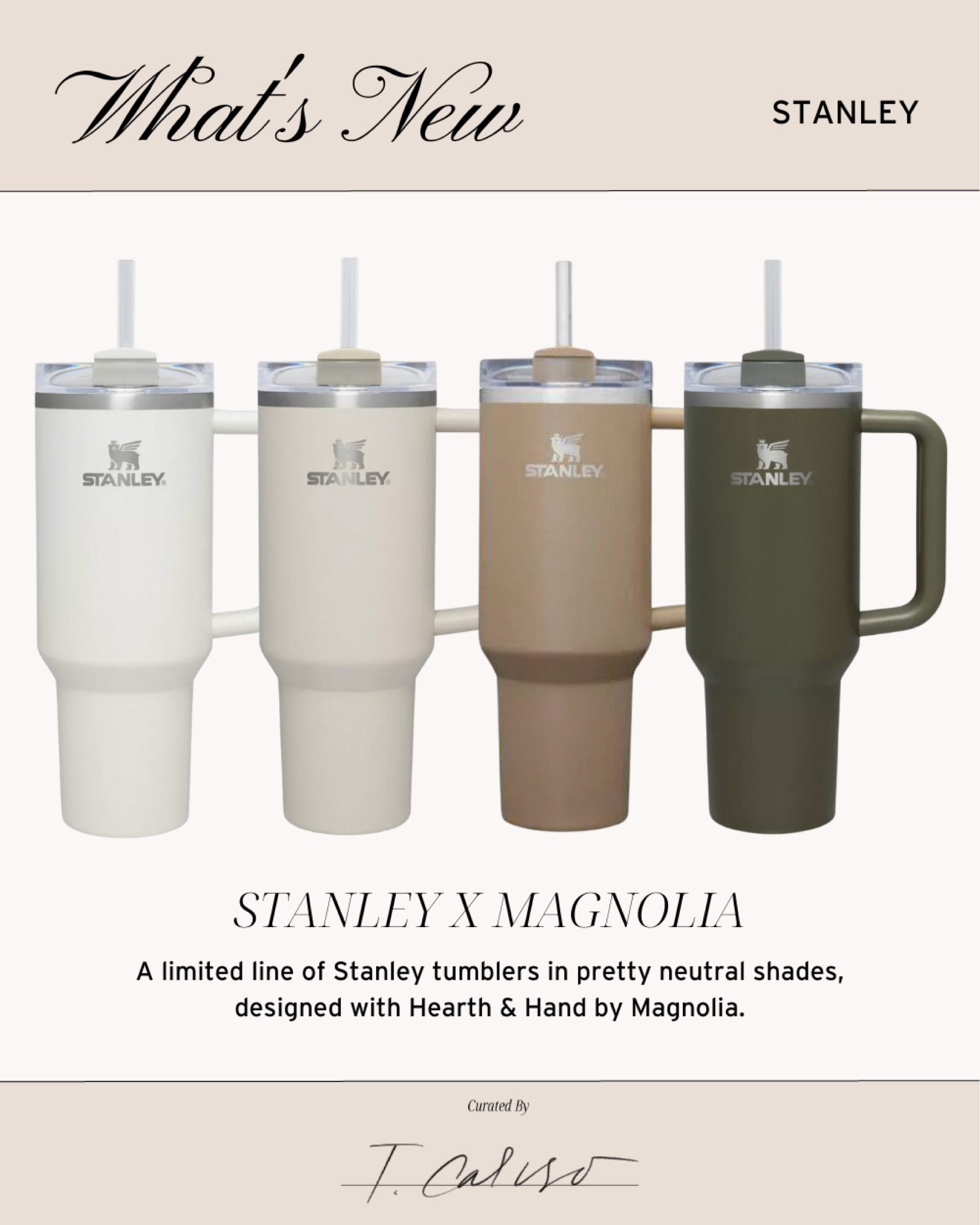 New! Stanley x Hearth & Hand with Magnolia

Stanley tumbler, brown Stanley tumbler, target Stanley tumbler, magnolia Stanley tumbler, taupe Stanley tumbler, white Stanley tumbler 

#LTKunder100 #LTKunder50 #LTKFind