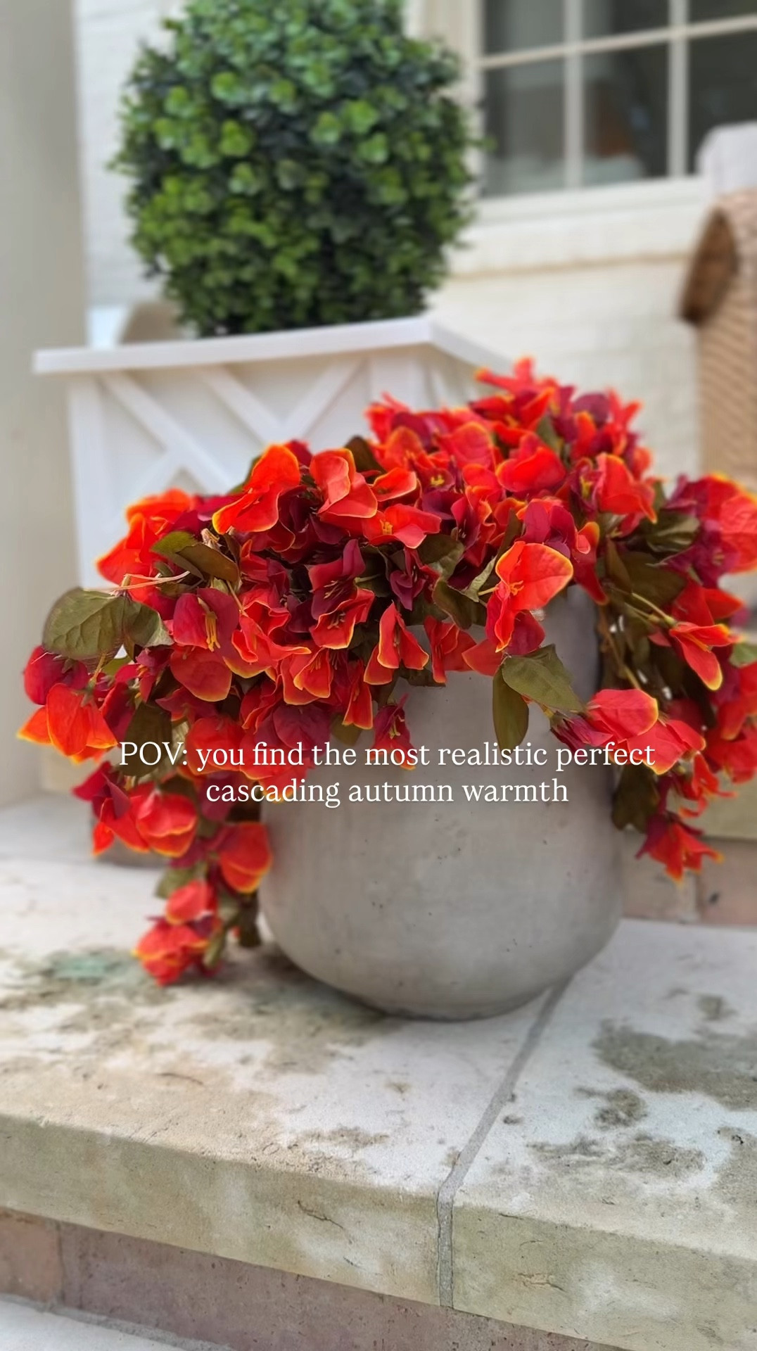 🍂✨ The perfect fall touch—this cascading faux plant brings all the warmth of autumn indoors without the upkeep. Layer it on a shelf, drape it over a mantel, or let it spill from a basket for that effortless cozy vibe. 🍁

#fallhome #fauxplants #cozyfall #autumndecor #fallstyle #seasonalhome #amazonhomefinds #cozycorners #intentionalhome #whimsicalcomfort


#LTKFindsUnder100 #LTKSeasonal #LTKHome