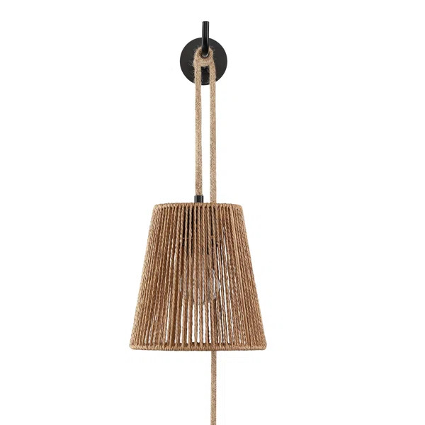 Adalbero Steel Plug-in Armed Sconce | Wayfair North America