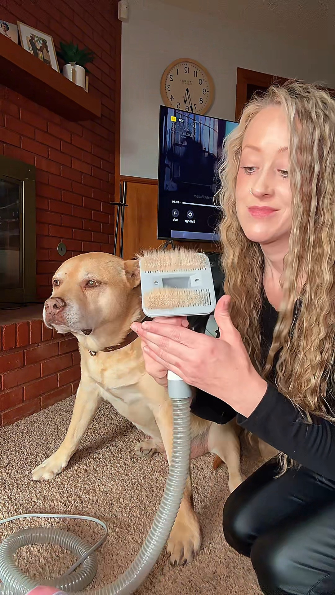 I seriously love this dog grooming kit. I love how it sucks the hair right up! No more messy brushing! #doggrooming #DOGSofLTK #PetsofLTK #dogs 

#LTKGiftGuide #LTKPets #LTKWatchNow