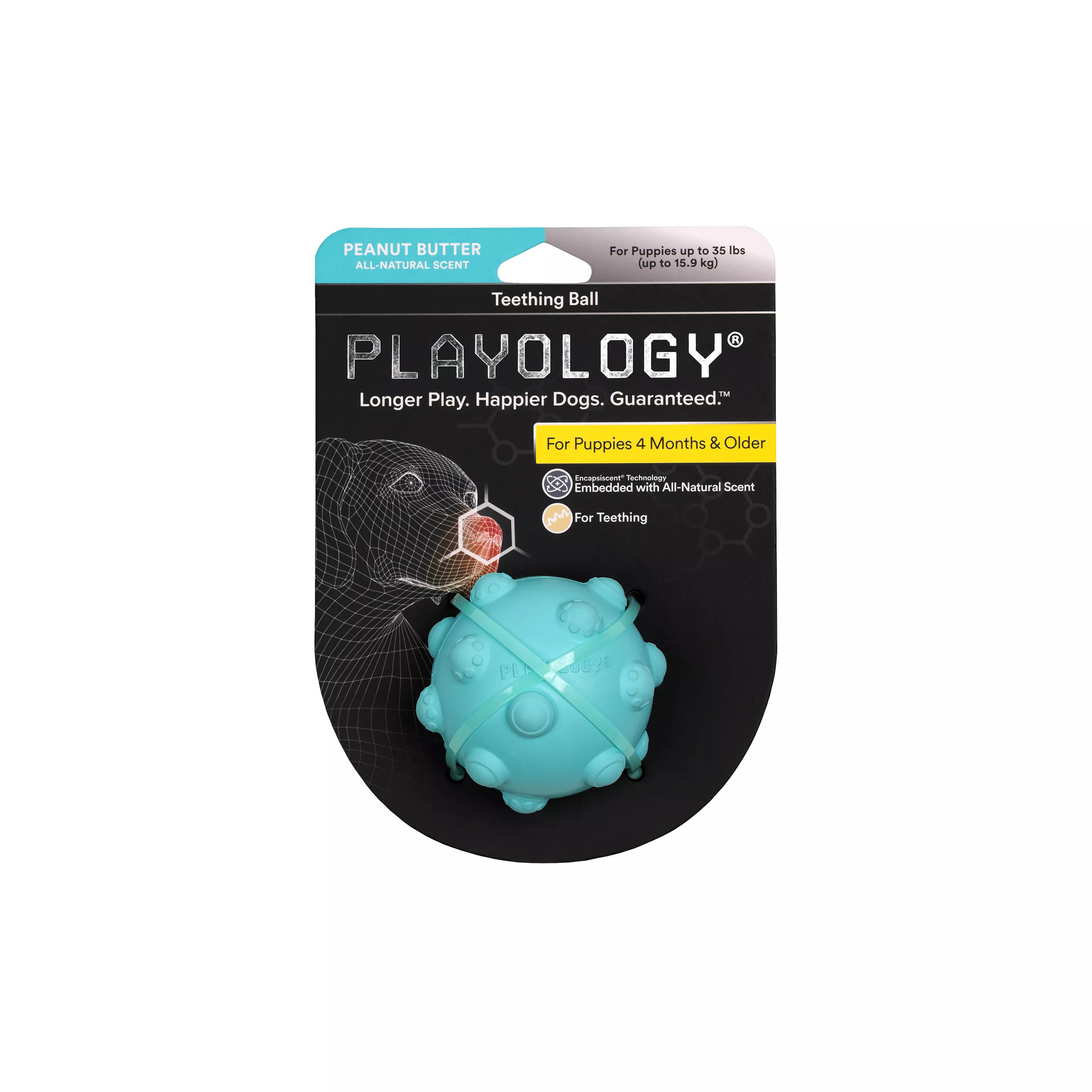 Playology® Puppy Teething Ball Dog Toy - Peanut Butter | PetSmart
