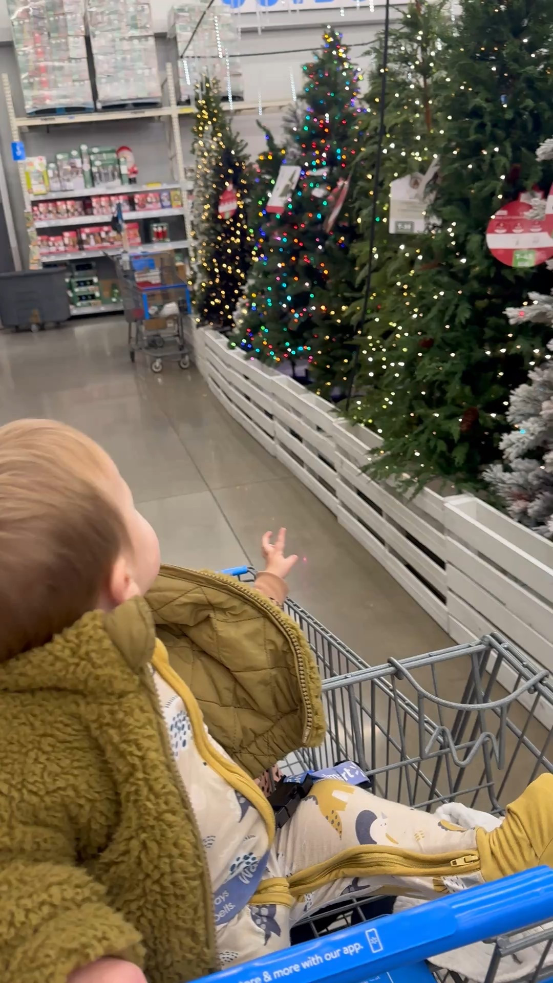 Walmart Christmas trees are on sale right now 🎄✨
If you’re still shopping for a tree, Walmart has some of the best affordable options — flocked, pre-lit, pencil trees, full trees… so many styles and sizes!

These are such good budget-friendly holiday finds and perfect for updating your Christmas décor without spending a ton. Linking all my favorites from Walmart’s tree sale!

#WalmartFinds #WalmartHoliday #ChristmasTreeSale #HolidayDecor #ChristmasDecor #WalmartHome #BudgetFriendlyDecor #HolidayReady

#LTKHoliday #LTKCyberWeek #LTKSeasonal