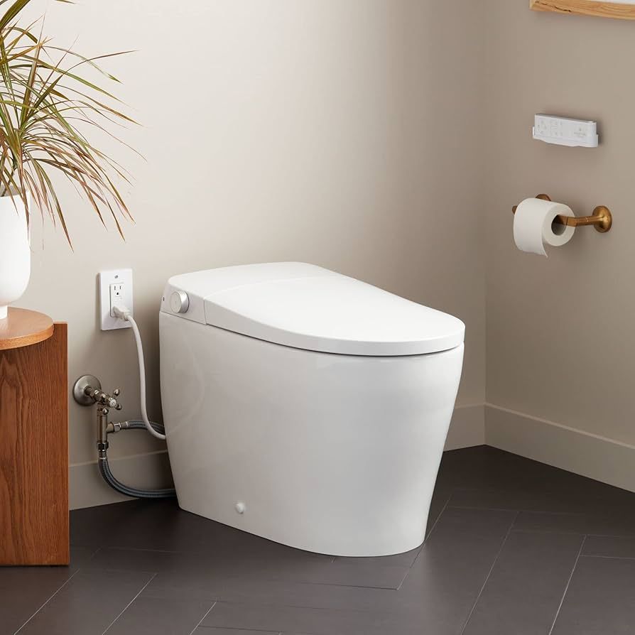 473603 Vela Plus 1 GPF One Piece Elongated Toilet - Standard Seat Included | Amazon (US)