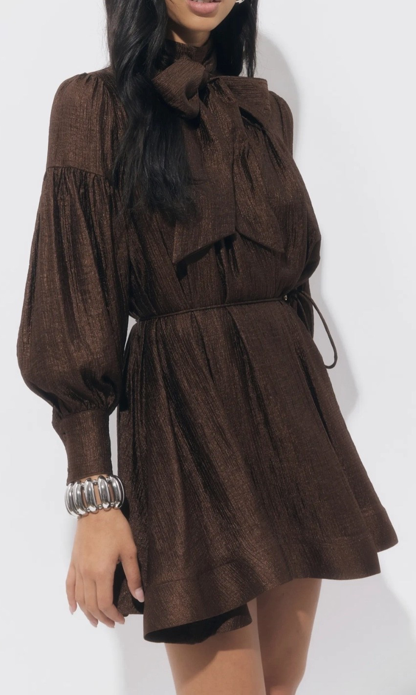 Brown dress 
Dress
Bow neck dresss