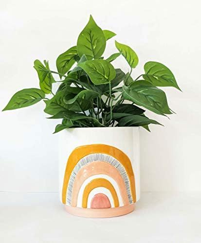 Amazon.com : Urban Rainbow Indoor Planter Pot Pink and White and Yellow 6.5in : Garden & Outdoor | Amazon (US)