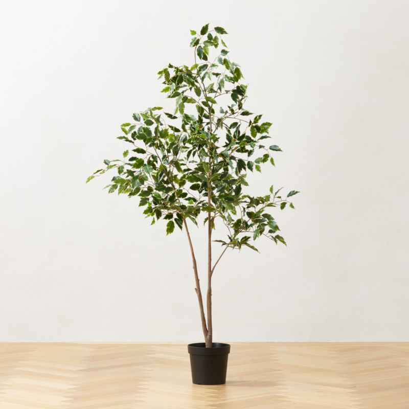 Faux Ficus Tree 6' + Reviews | CB2 | CB2
