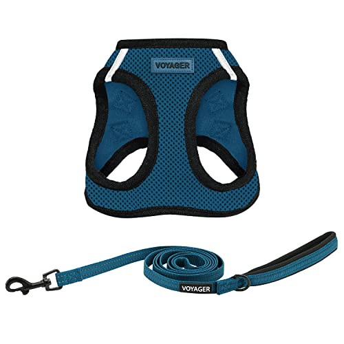 Voyager Step-in Air All Weather Mesh Harness and Reflective Dog 5 ft Leash Combo with Neoprene Handle, for Small, Medium and Large Breed Puppies by Best Pet Supplies - Blue/Black Trim, X-Large | Amazon (US)