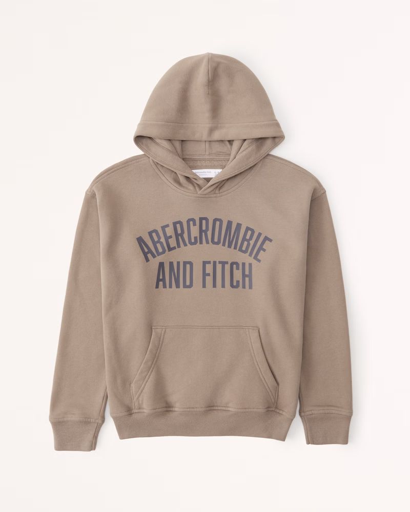 print logo popover hoodie | Abercrombie & Fitch (US)
