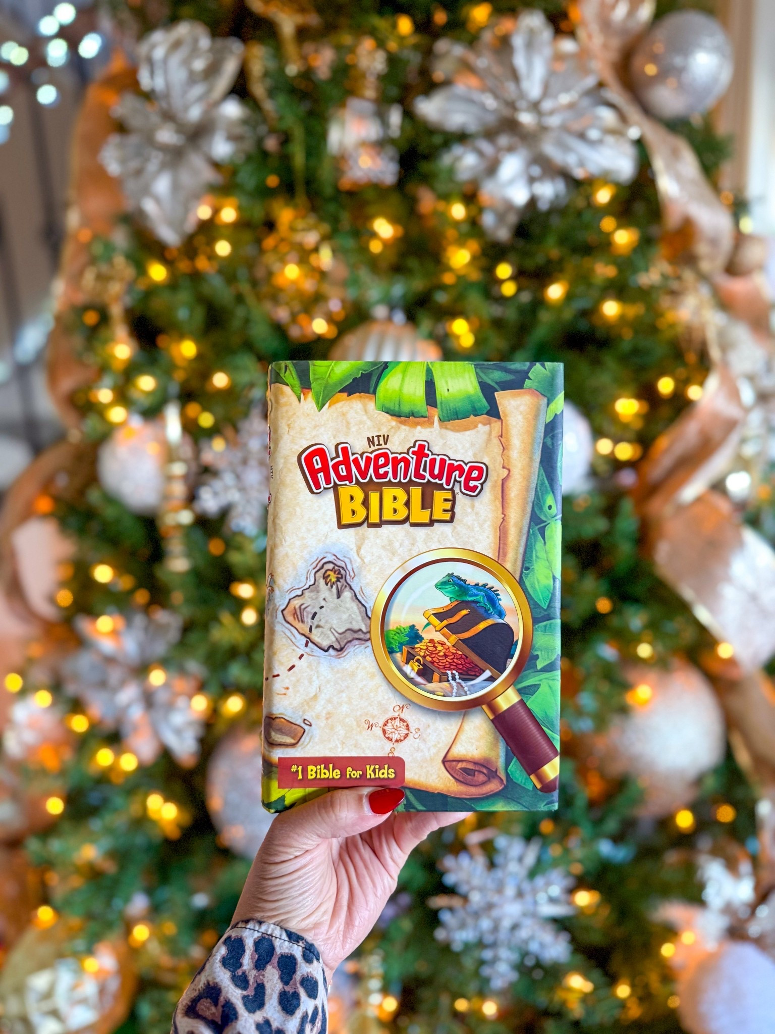 Adventure Bible for Kids

#LTKmorningroutine #LTKFindsUnder50 #LTKKids