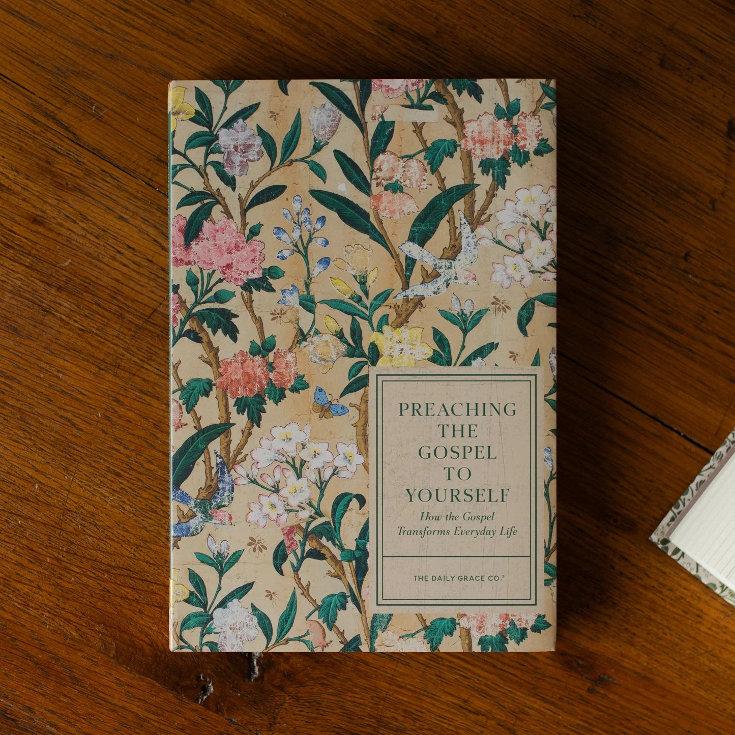 Preaching the Gospel to Yourself | The Daily Grace Co.