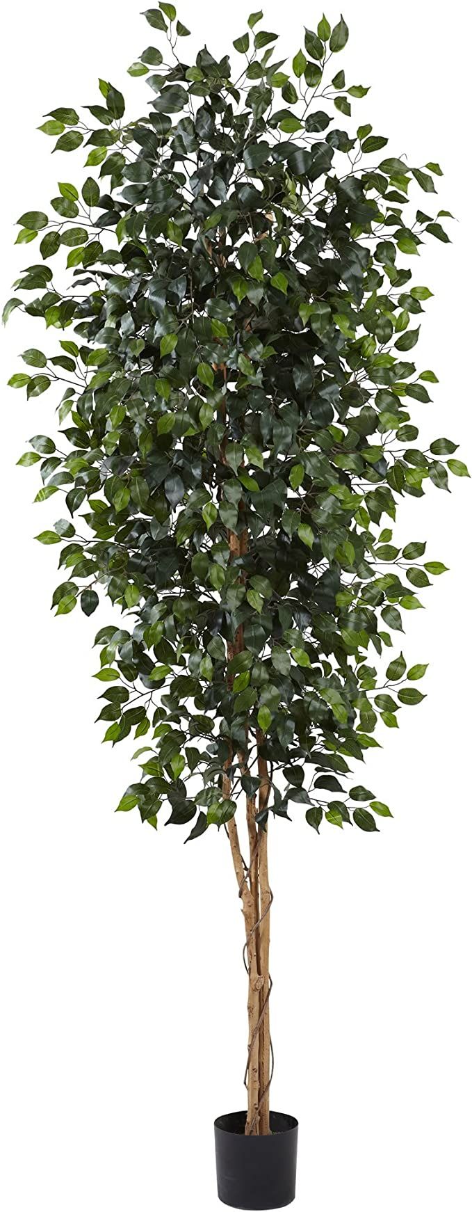 Nearly Natural Artificial 8ft. Ficus Tree | Amazon (US)