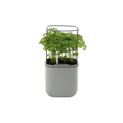Vego Garden Self-Watering Mini Rectangular Indoor Outdoor Planter Pot with Trellis Fog Gray 7"x7"x14" | Target