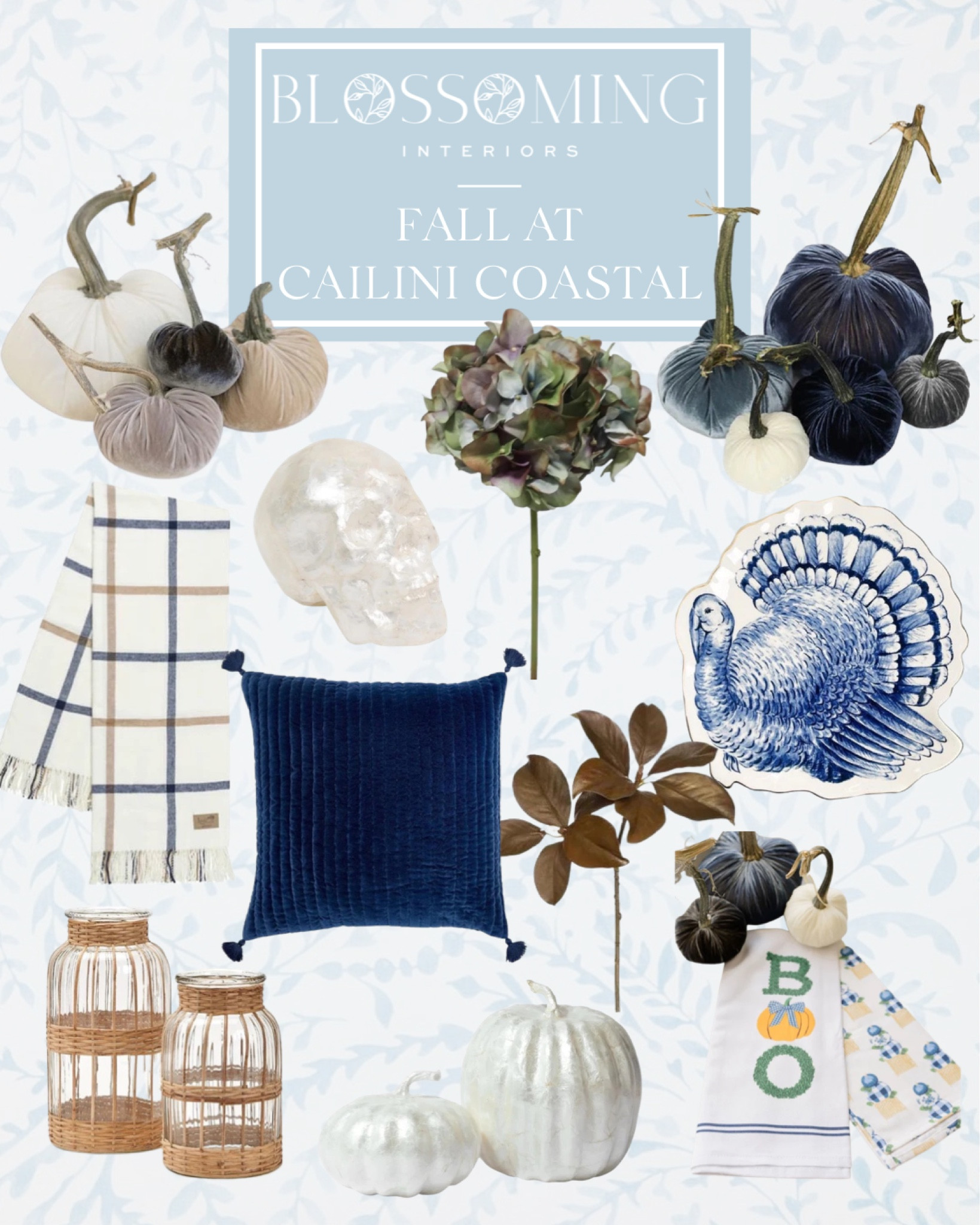 New Fall and Halloween season favorites added to Cailini Coastal. I also went shopping at some other stores today and they have so many new items. Comment SHOP for direct links to this post. 

#LTKFind #LTKhome #LTKSeasonal