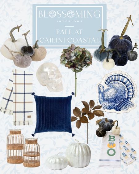 New Fall and Halloween season favorites added to Cailini Coastal. I also went shopping at some other stores today and they have so many new items. Comment SHOP for direct links to this post. 

#LTKFind #LTKhome #LTKSeasonal