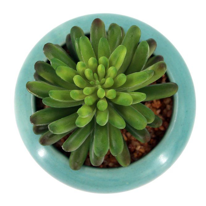 Better Homes & Gardens Faux Succulent Ceramic Pot | Walmart (US)