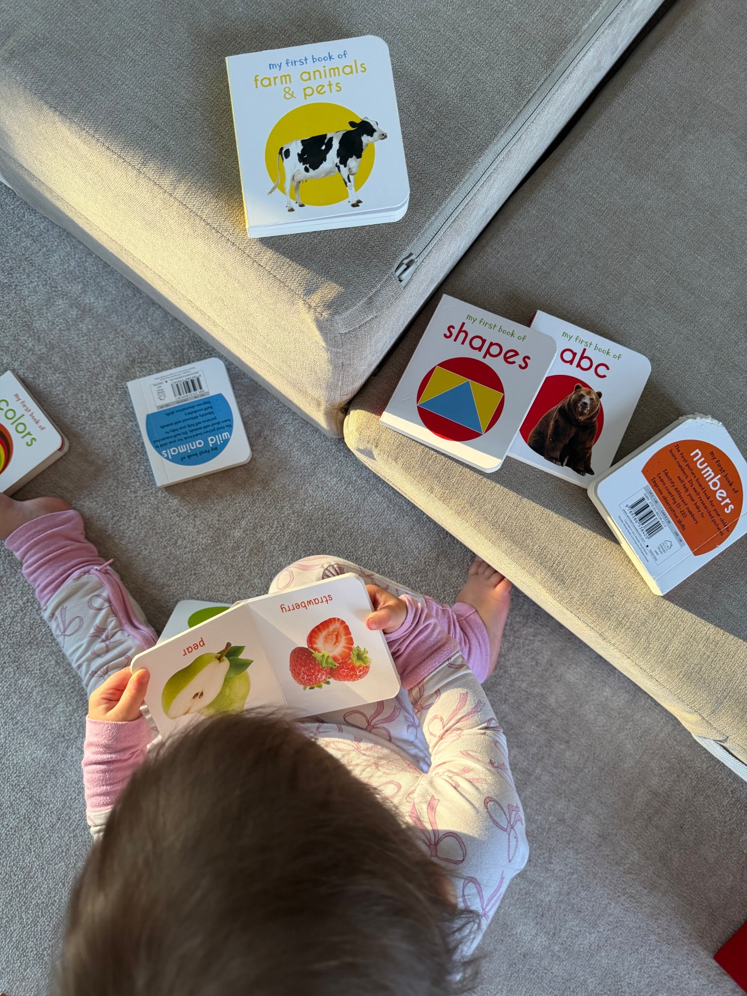 Baby + 1 year old gift idea - we got this book set for her first birthday and she loves! Will grab it to flip through multiple times a day (16 months now) 

#LTKGiftGuide #LTKKids #LTKBaby