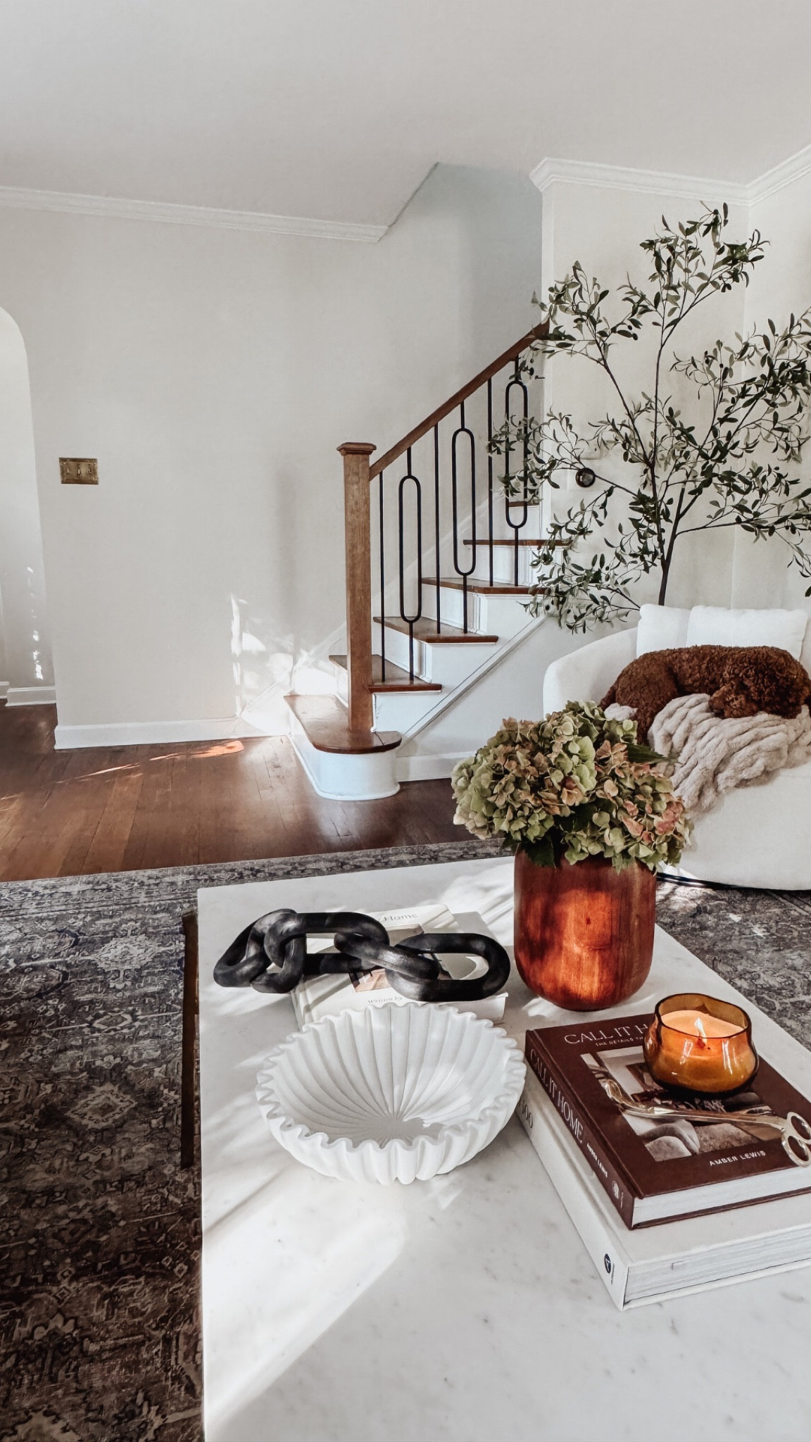 My living room rug is an Early Prime Deal ✨ Also linking one of my favorite coffee table books that’s part of the sale too 🤎

#LTKHome #LTKSaleAlert #LTKxPrimeDay